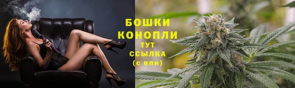 трава Козельск