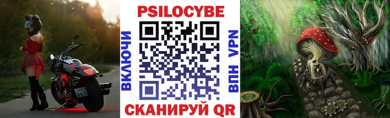 Галлюциногенные грибы MAGIC MUSHROOMS  Купить где  Благодарный 